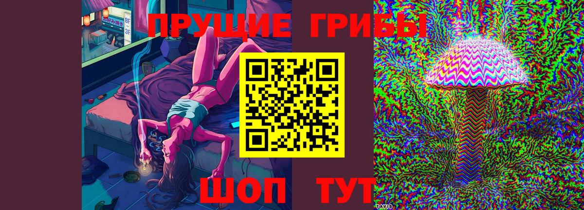 Луга  Псилоцибиновые грибы мухоморы  Вход с VPN  как найти наркотики  Псилоцибиновые грибы Magic Shrooms 